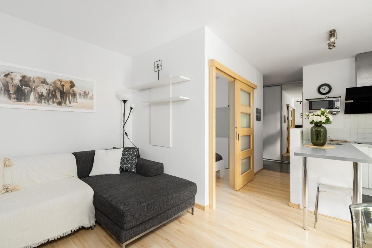 Cozy Apartment Karpia 17 With Terrace In Poznan By Noclegi Renters Zewnętrze zdjęcie